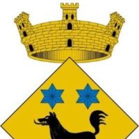 Hoogkamer Arbitrators & Mediators(HAM) | INTERNATIONAL CUSTODY CONFLICTS