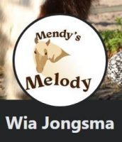 Mendy's Melody Paardencoaching - Wia Jongsma