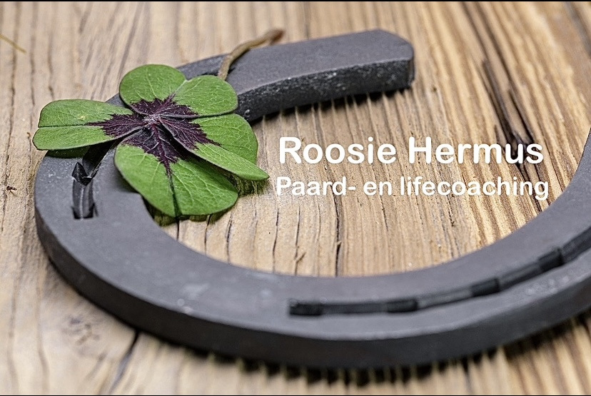  R. (Roosie) Hermus BSc